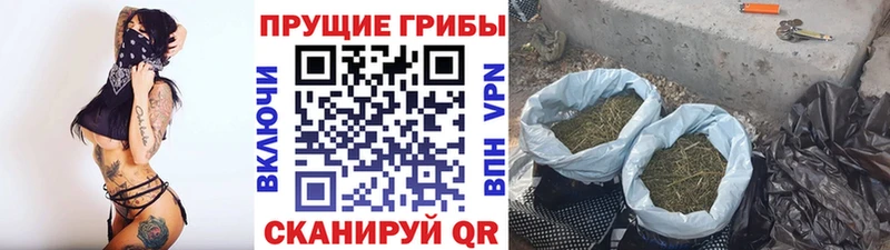 мега   Гороховец  Галлюциногенные грибы Magic Shrooms  дарнет шоп 